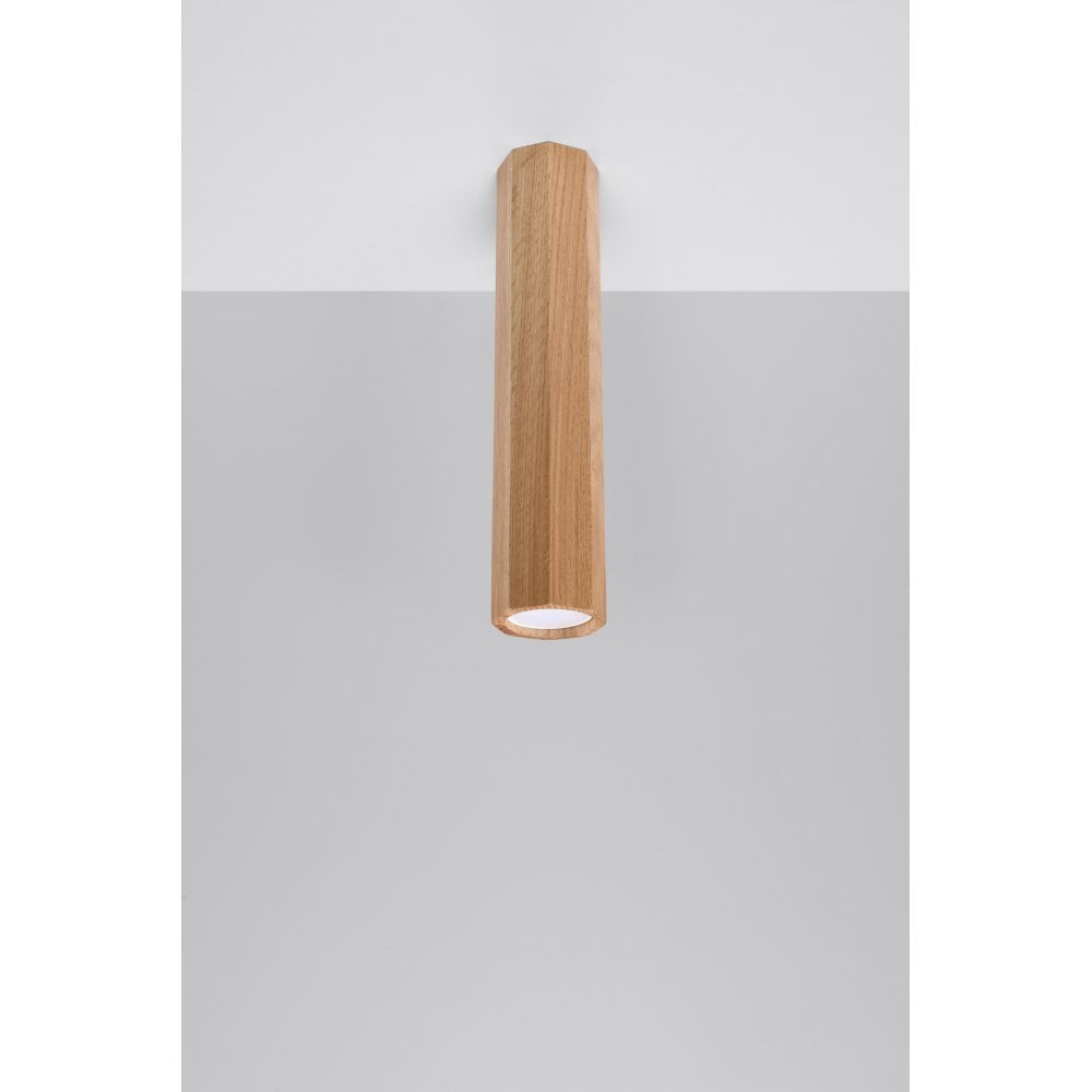 Lubinis šviestuvas "ZEKE L"