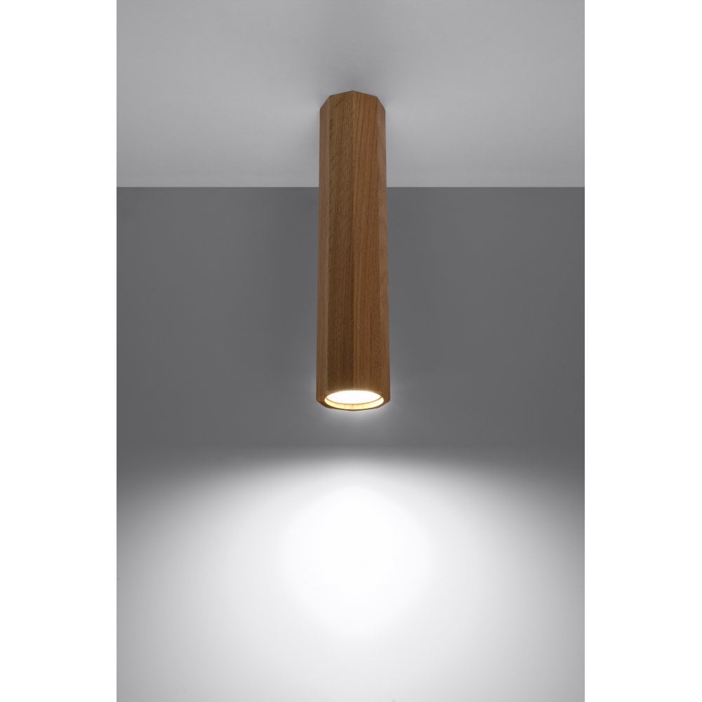 Lubinis šviestuvas "ZEKE L"